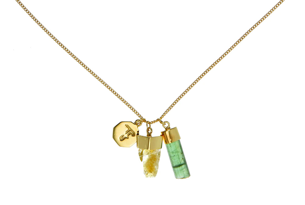 
                  
                    SUPERPOWER CHARM NECKLACE | GOLD
                  
                